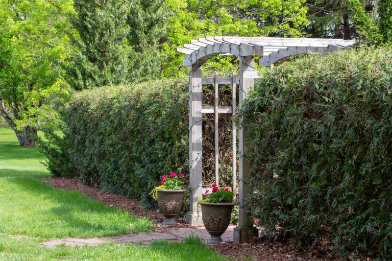 Modern Cedar Arbor Installation