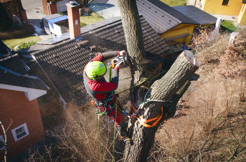 Local Cedar Arbor Installation pros at work